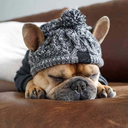 Warm Pet Dog Knitted Hat, Windproof Knitting French Bulldog Hat