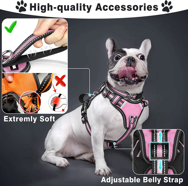 Pet Harness Collar and Leash Set, All-in-one Reflective Dog Harness No Pull with Adjustable Buckles for Puppies