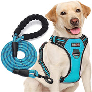 Free Heavy Duty 5ft Dog Leash No Pull Dog Harness Adjustable Reflective Oxford Easy Control Medium Large Dog Harness with A